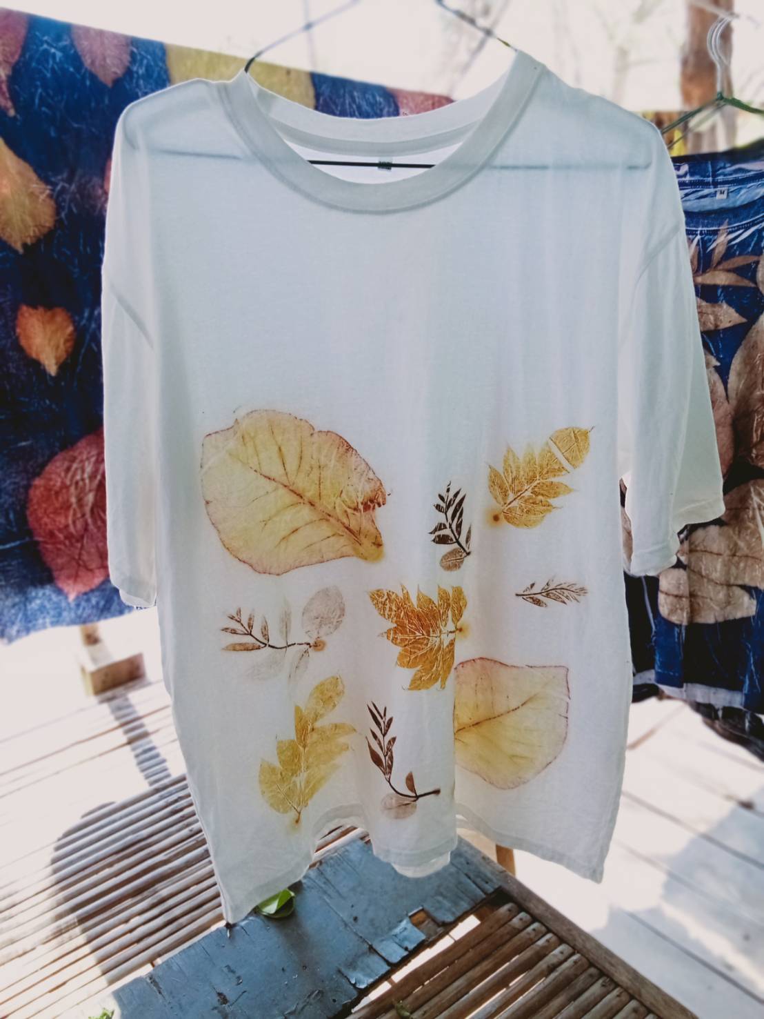 title - ส.ป.ก.อำนาจเจริญ จักฝึกอบรมโครงการอนุรักษ์พันธุกรรมพืช อันเนื่องมาจากพระราชดำริ  สมเด็จพระเทพรัตนราชสุดาฯ สยามบรมราชกุมารี (อพ.สธ.) ประจำปีงบประมาณ 2569